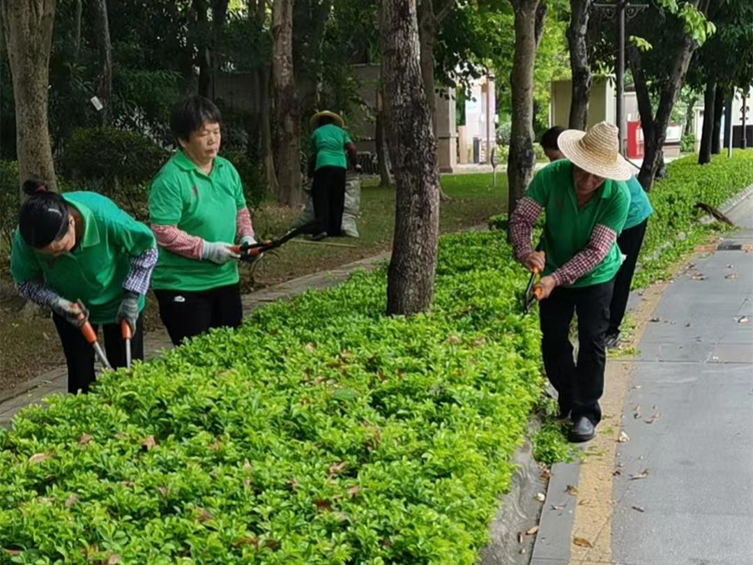 小区绿化养护修剪